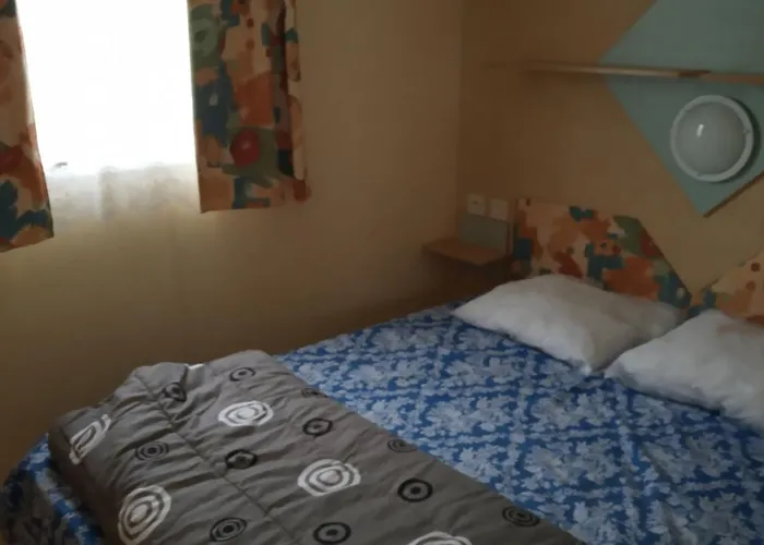 Les Rives Du Ceou Saint-Chamarand